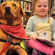 Summer Parker meets Pets as Therapy dog Delia at Norwich’s Millennium Library trial event.Picture by SIMON FINLAY.