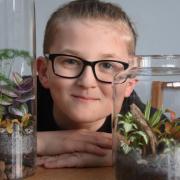 Olly Champion, 11, from Wymondham, who has launched his own business making plant-based ornaments called Olly's Terrariums. Picture: Denise Bradley