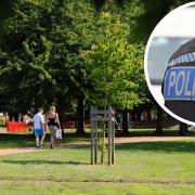Enquiries are ongoing after a 12-year-old girl was assaulted in a Norwich park