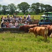 Farms across the region are taking part in Open Farm Sunday on June 9