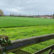 Land off Green Lane in Thorpe St Andrew where 600 homes could be built
