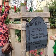 Norwich Green's rallied troops together in Nelson Ward to draw attention to the dying trees