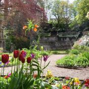 Paradise Lost and Found will be performed in Norwich's Plantation Gardens