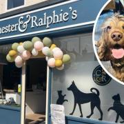 Chester and Ralphie's pet shop named after owner's Jon and Amy's pet dogs (pictured) has opened in Unthank Road