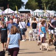All About Dogs event at the Norfolk Showground