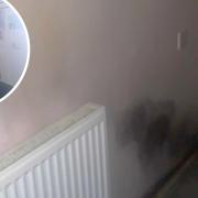 Daniel Thoroughgood, inset, says the stress caused by mould and damp spreading through his flat is 