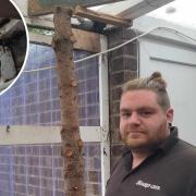 Matthew James has had to prop up his conservatory with an old Christmas tree after battling with Flagship Homes for the last 18 months to get rotting wood fixed
