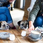 Peter Franzen understands why pubs and restaurants want to welcome dogs, but he says they put off some customers
