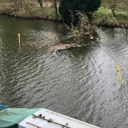 A fallen tree in the Yare is yet to be removed more than a month after falling