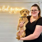A national award-winning pet care company in Norwich has launched a new dog grooming salon in the city