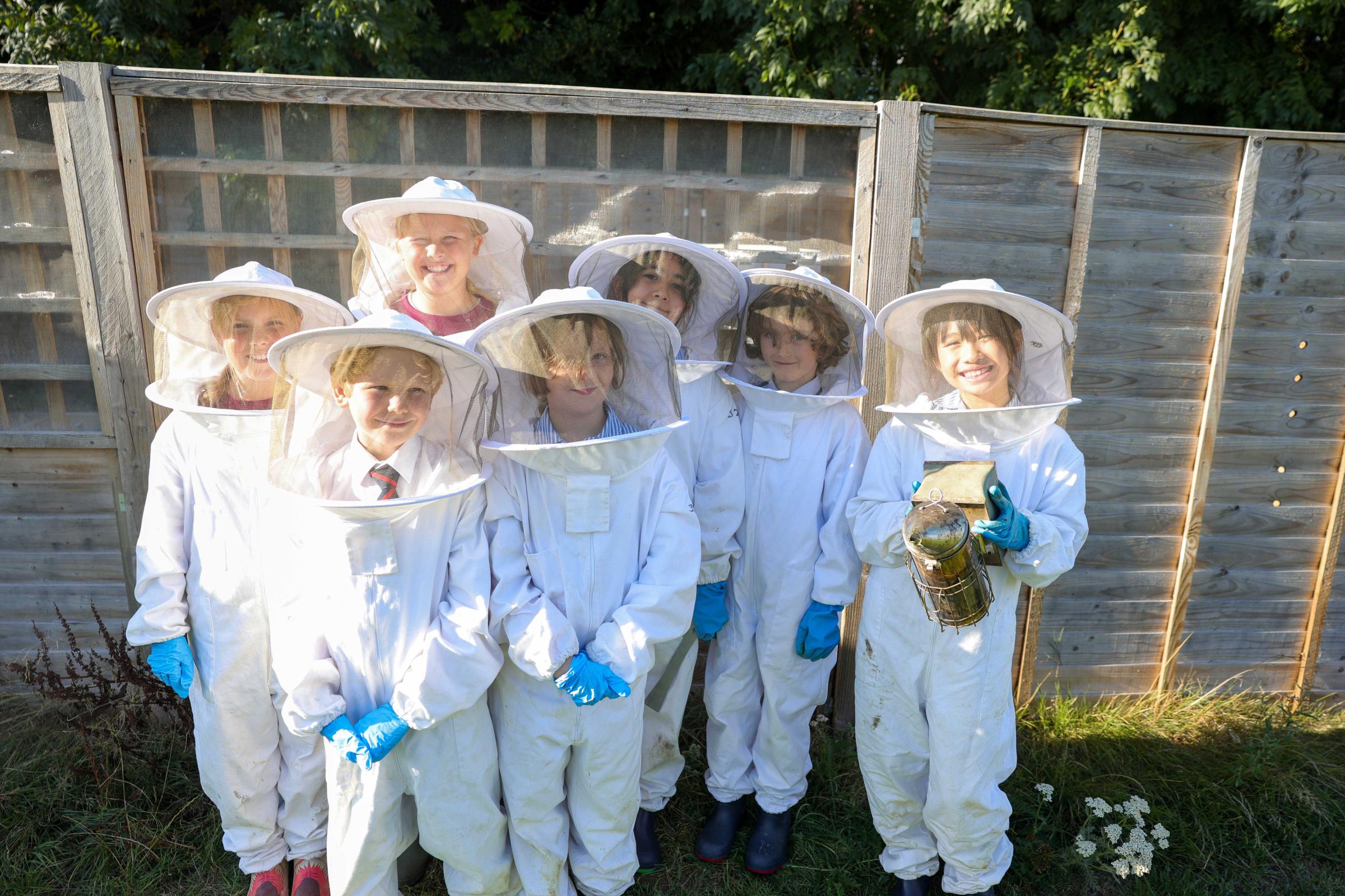 School pupils recognised for bee-friendly garden