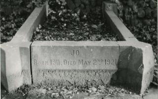 Jo, one of the 19 pets buried by the Colman family on the Carrow Abbey site