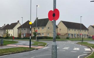 A poppy on a street light on the Queen's Hills estate in Costessey